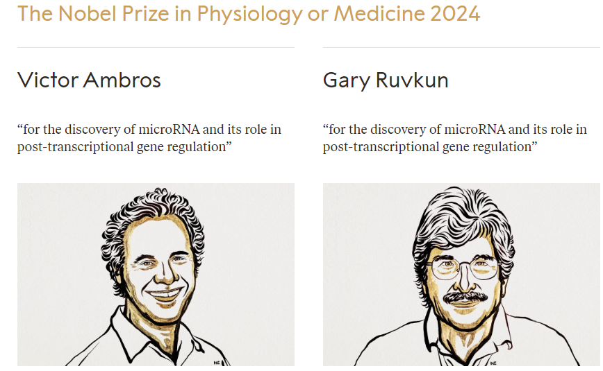 Nobel Prize 2024 Winners List » Students Disha All Competitive Guide